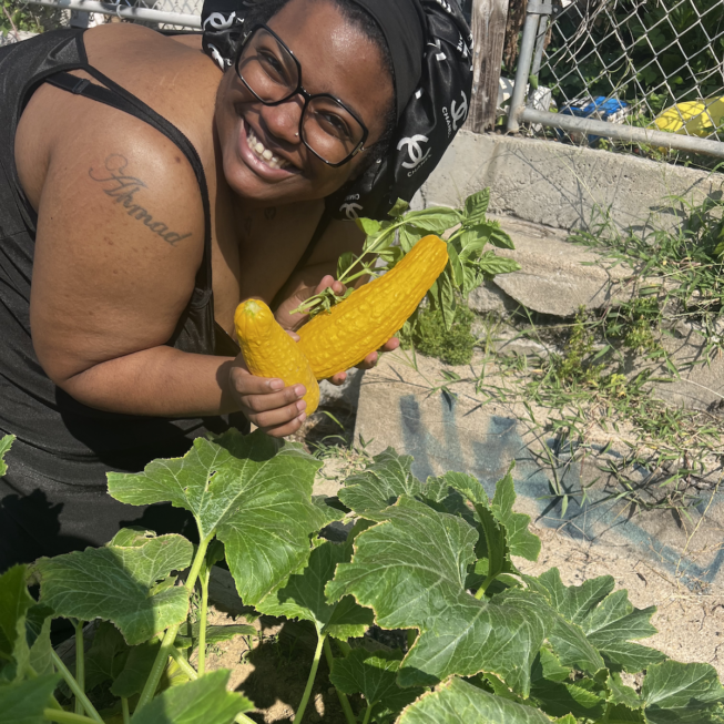 Kensington Corridor Trust - Resident Harvesting Vegetables